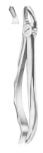  Fig. 17 upper molars right 